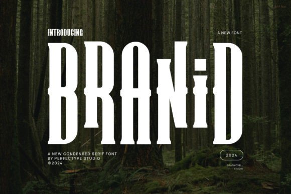 Branding with Branid: A Font That Elevates Your Business