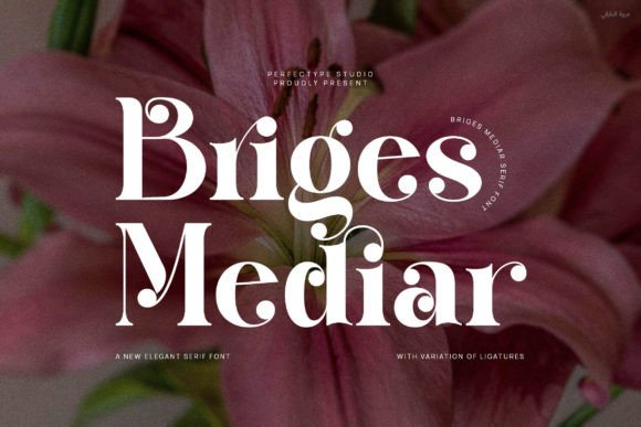 Briges Mediar: A Serif Font for Editorial Elegance