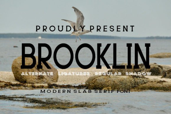 Brooklin: A Modern Slab Serif Font for Editorial Design