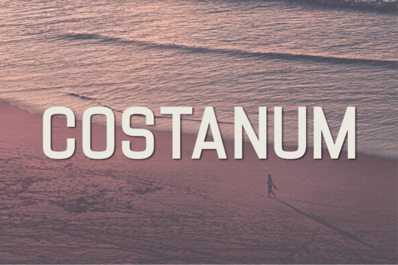 Costanum: A Sans Serif Font for Modern Editorial Design