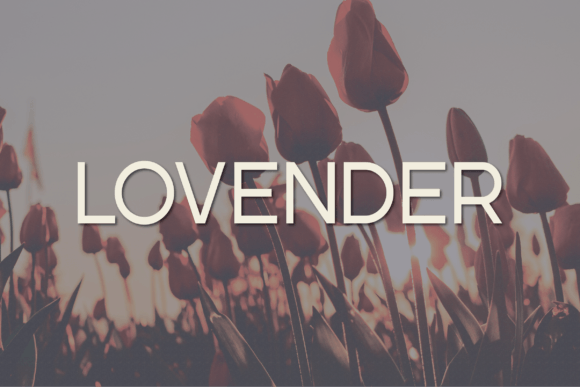 Love at First Font: How Lovender Elevates My Handmade Creations