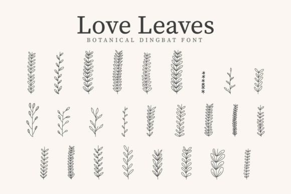Love Leaves: The Font That Elevates Your Brand