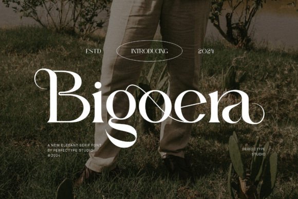 Mastering Visual Communication with Bigoera