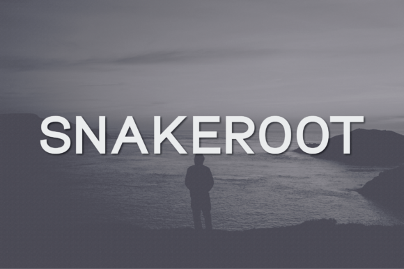 Snakeroot: A Font That Fits the Rhythm of Your Campaign