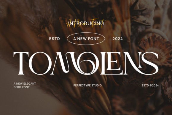 Tomolens: A Serif Font That Elevates Your Handmade Creations