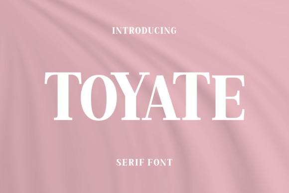 Toyate: A Serif Font for Crafters Who Demand Beauty and Function