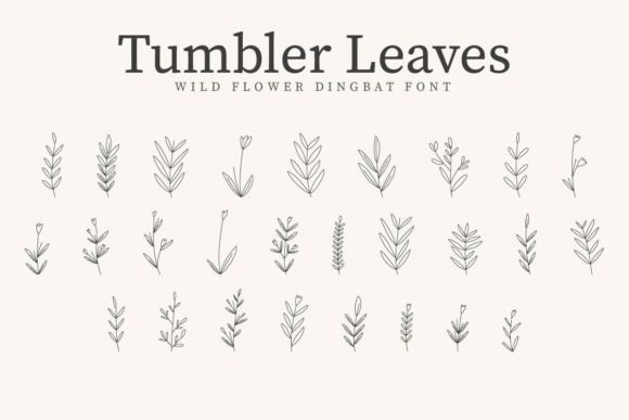 Tumbler Leaves Font for Creative Crafters