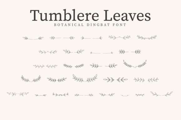 Tumblere Leaves: A Font That Elevates Branding