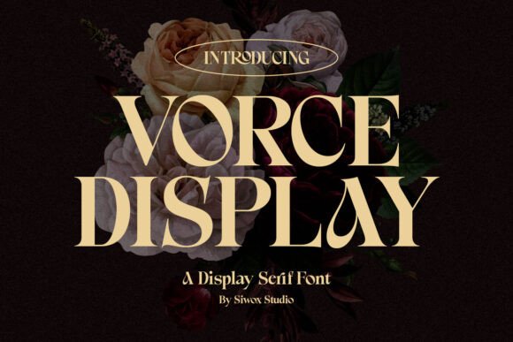 Vorce Display